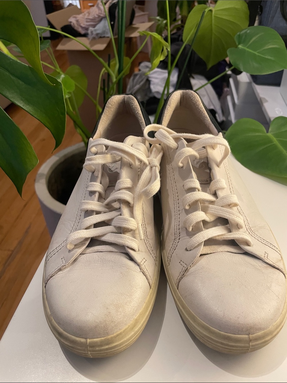 Ecco Leather Low-Top Sneakers